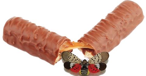 Halloween Candy meme