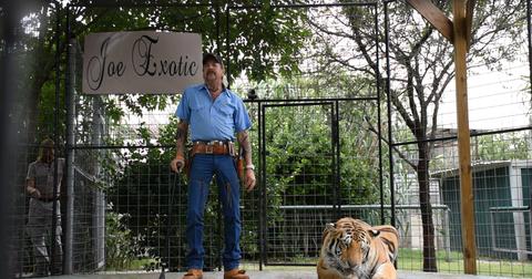 joe in cage with tiger
