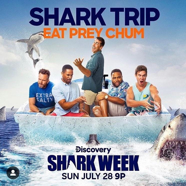 Who Is the Host of Shark Week 2019? Meet Rob Riggle!