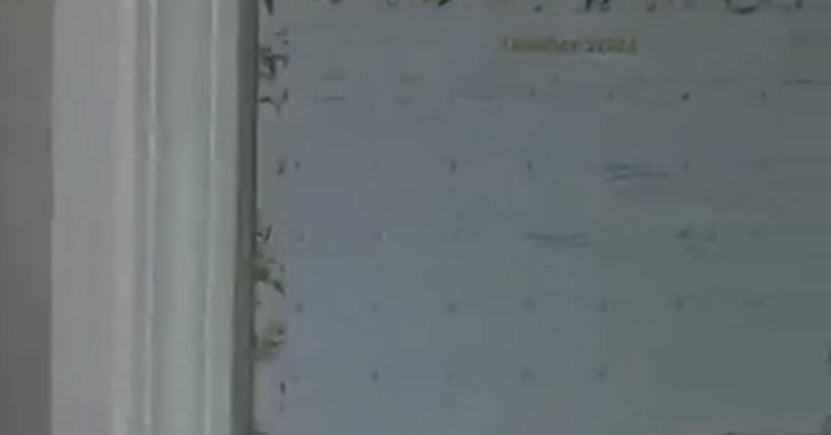 A photo of Janelle Brown's calendar