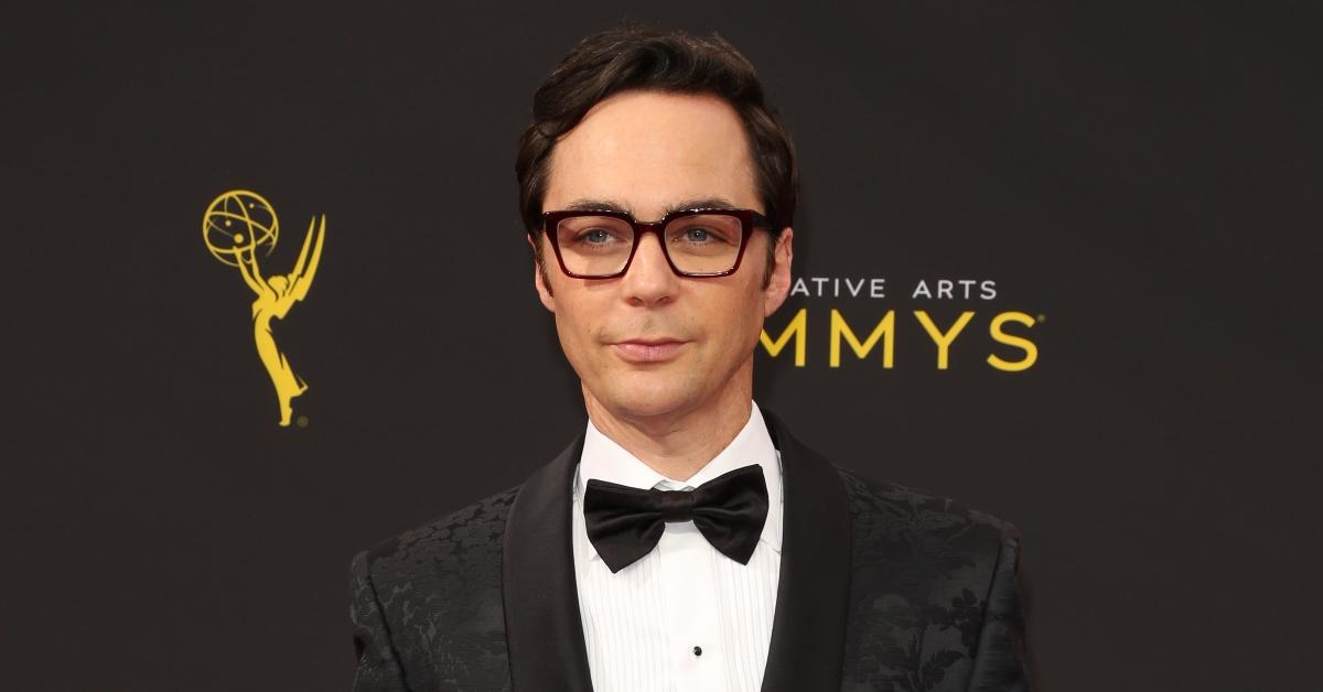 Big Bang Theory' Stars Kaley Cuoco and Jim Parsons Had Hard Feelings  About the Show Ending