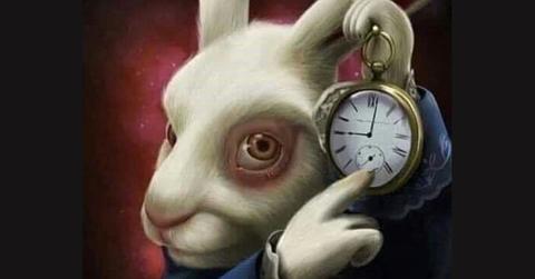 What Does the White Rabbit Mean on TikTok?