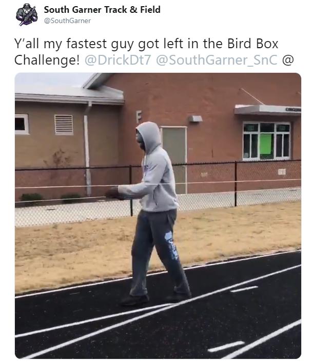 birdbox challenge memes