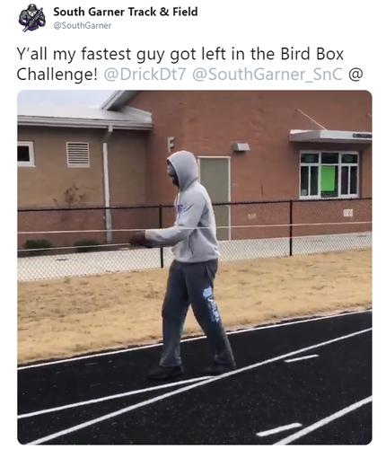 birdbox challenge memes