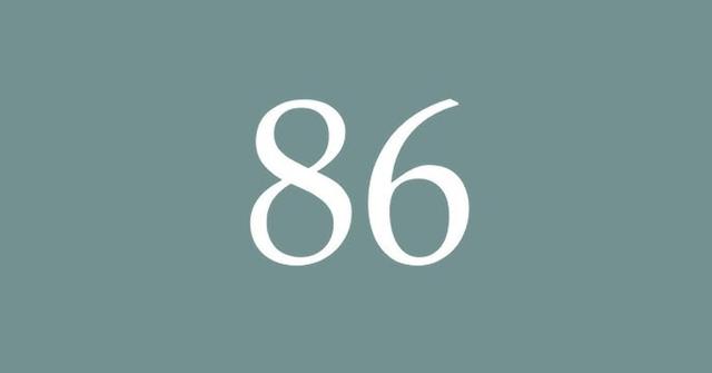 86 Reference For Your Information | Distractify.com