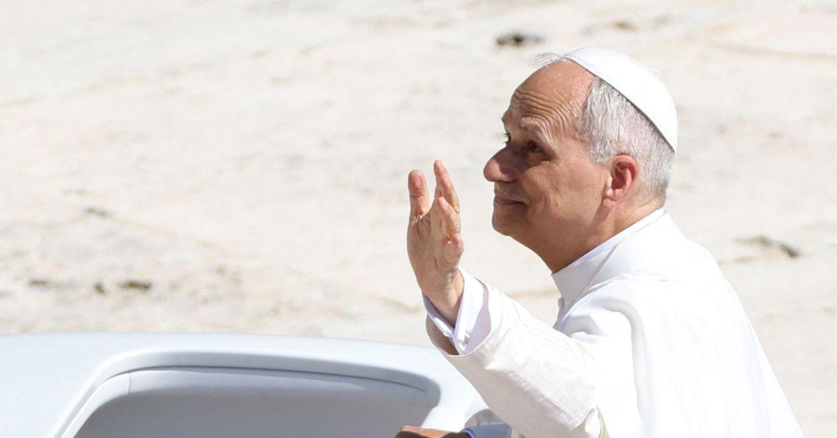 Pope Leo presiding over an audience in Rome. 