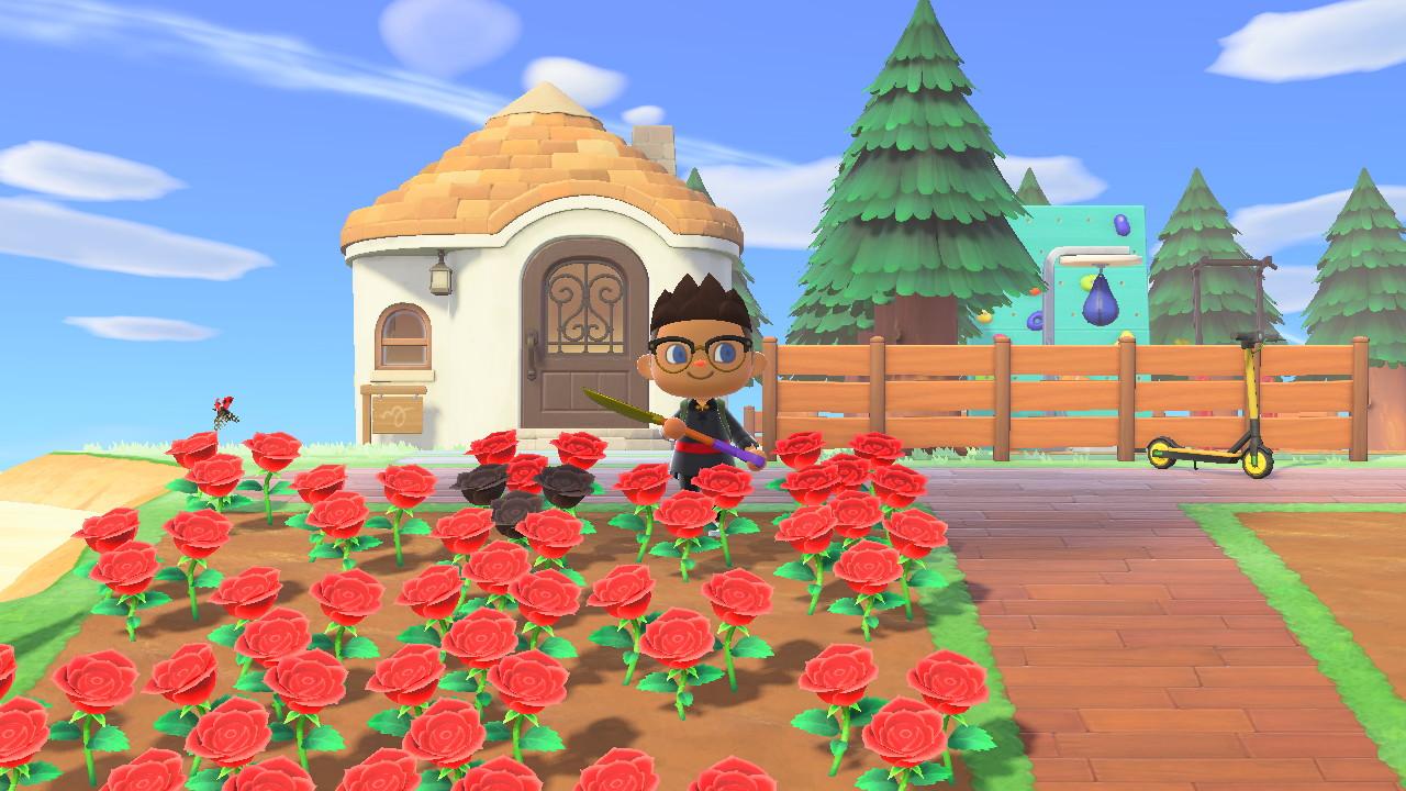 How To Make Black Roses Animal Crossing Sabala Havock