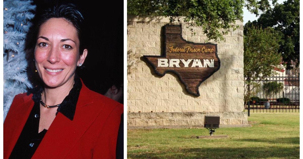 Ghislaine Maxwell's Prison Perks Reportedly Include a Puppy