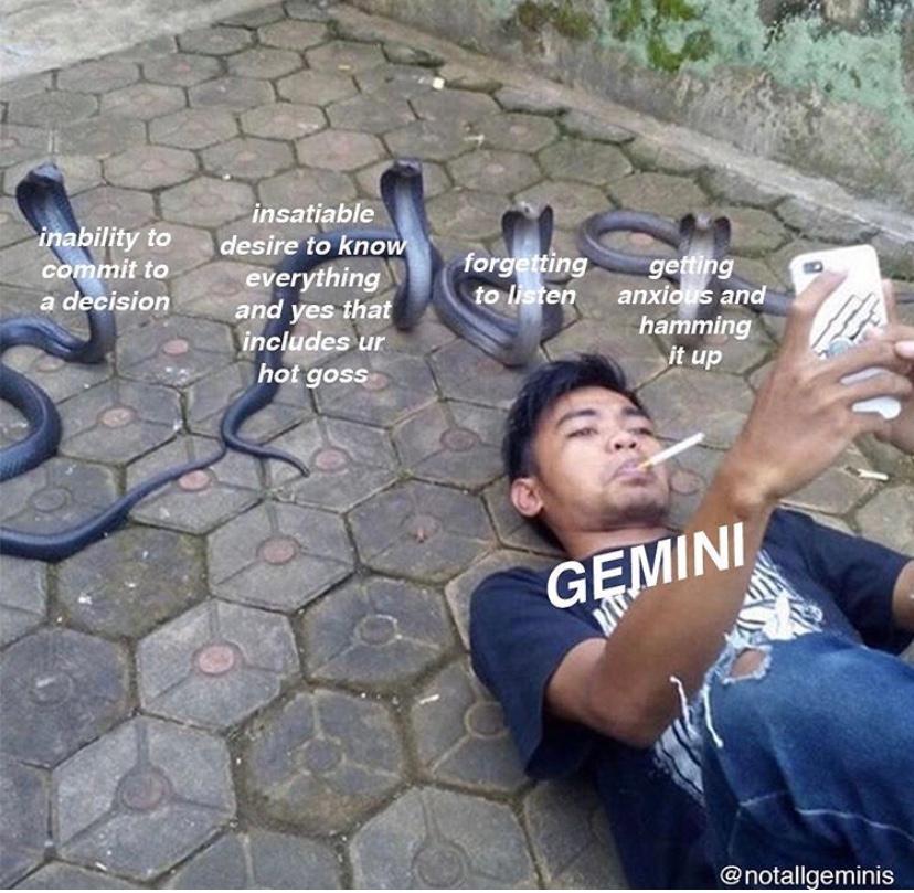 gemini season memes