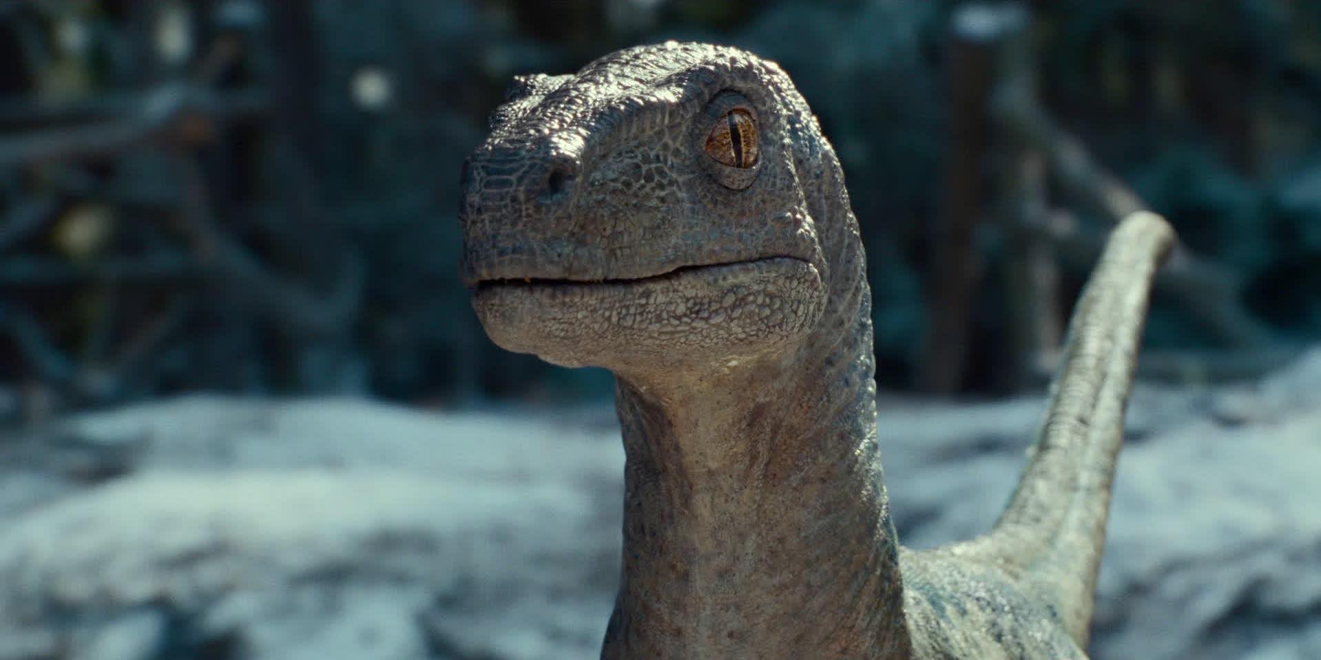 Blue's baby, Beta, in 'Jurassic World Dominion.'