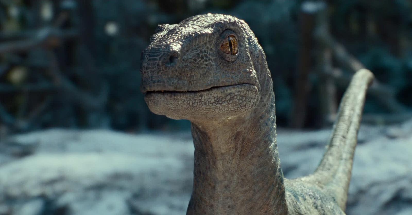 Does 'Jurassic World Dominion' Have a PostCredits Scene? (SPOILERS)