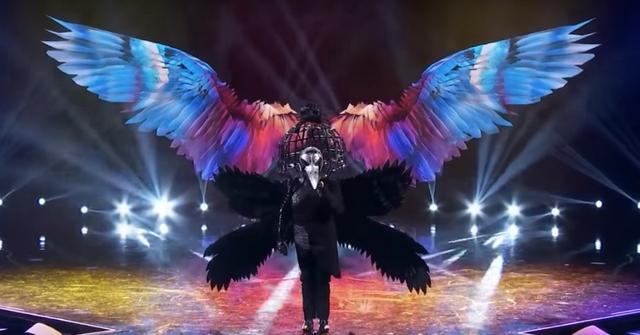 Who Is The Raven on 'The Masked Singer'? Clues Point to This Talk Show Host