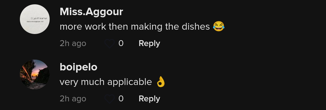 dirty dish hack tiktok