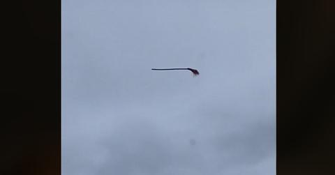 Floating Broom on TikTok