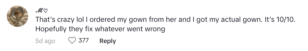 TikTok comment says: “That’s crazy lol I ordered my gown from her and I got my actual gown. It’s 10/10. Hopefully, they fix whatever went wrong."