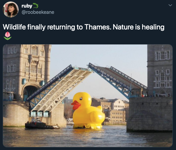 Nature Is Healing' Jokes That Will Make You Giggle During This Dark Time