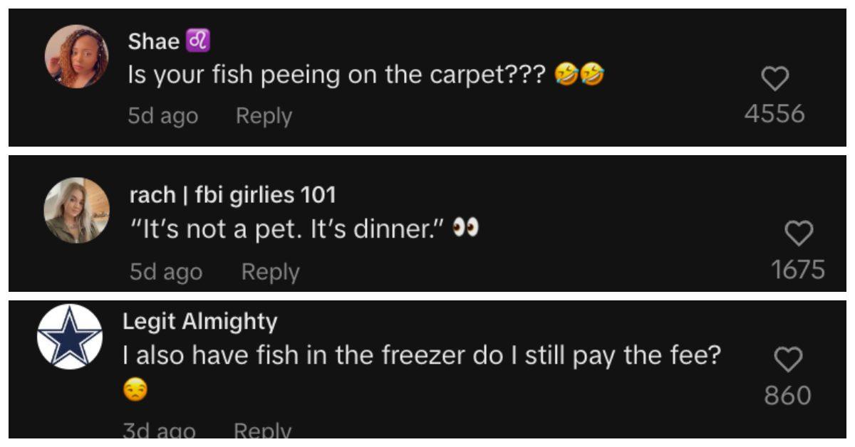 Commenters can't believe that the landlord wants to charge a $250 pet fee for a goldfish