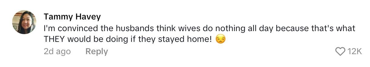Comment on video of SAHM filming her entire day to prove she does more than "nothing."