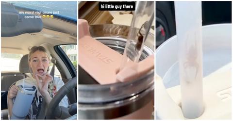 stanley straws with bugs