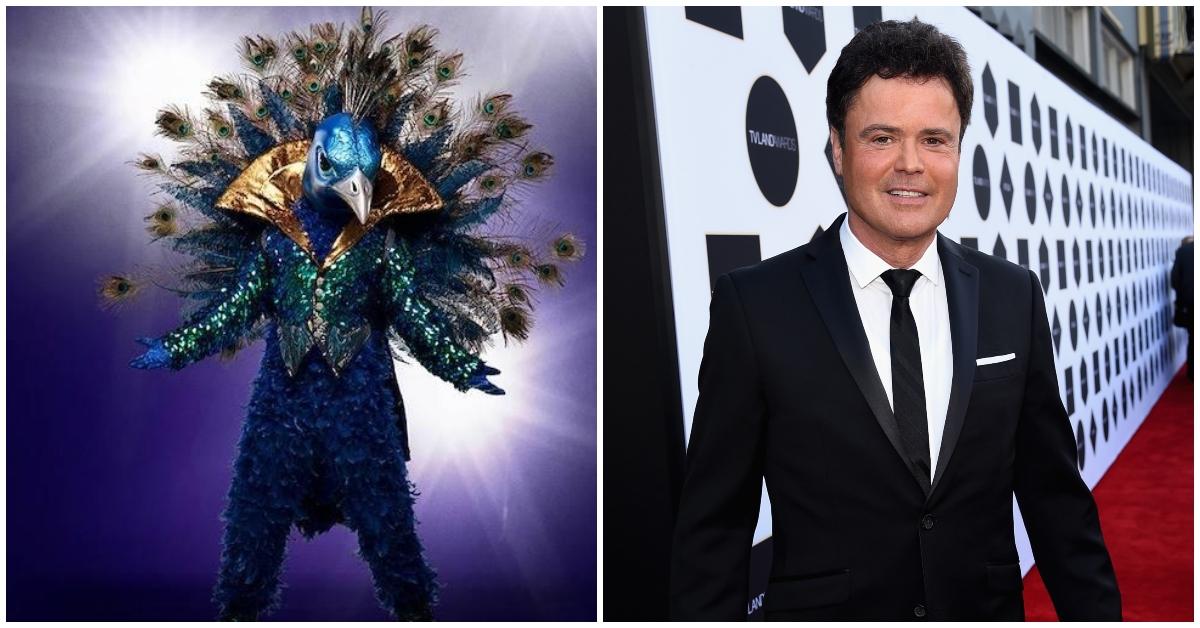 masked singer peacock donny osmond