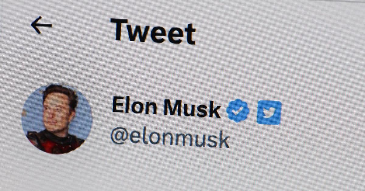 Elon Musk's Twitter profile 