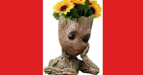 The Groot pen holder.