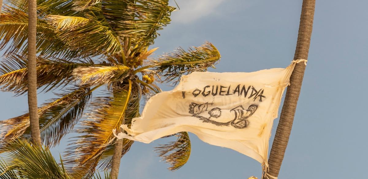 Poguelandia Flag on a palm tree in Outer Banks