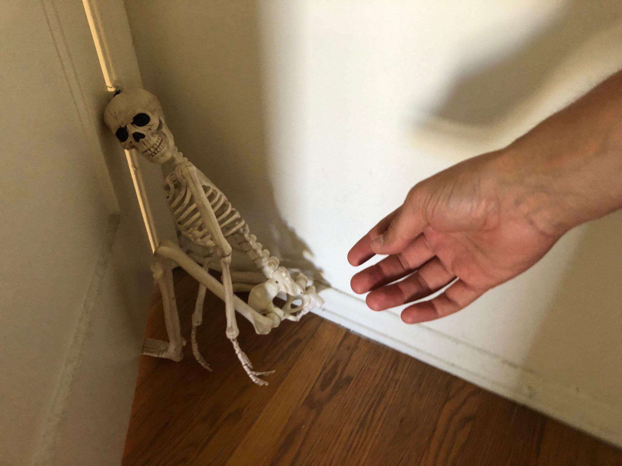 skeleton pet