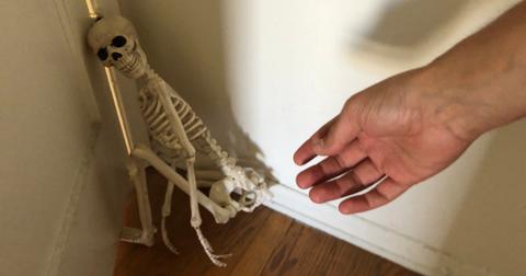 1-skeleton-pet-1570642192676.jpeg