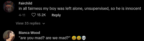 Husband Impulsively Guts Kitchen - TikTok