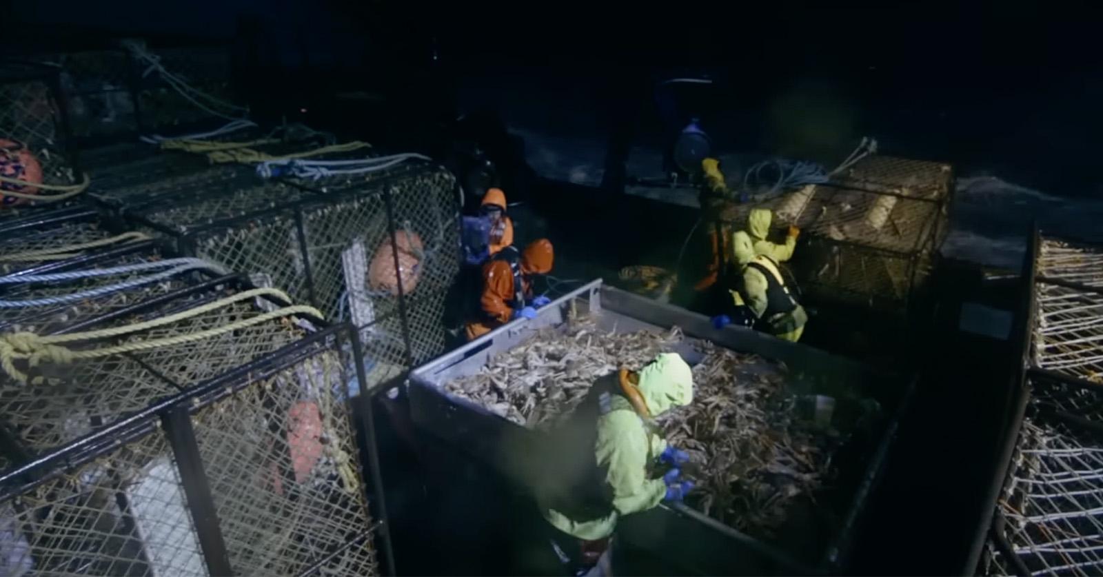 What Happens If There's a Hurricane on Deadliest Catch?