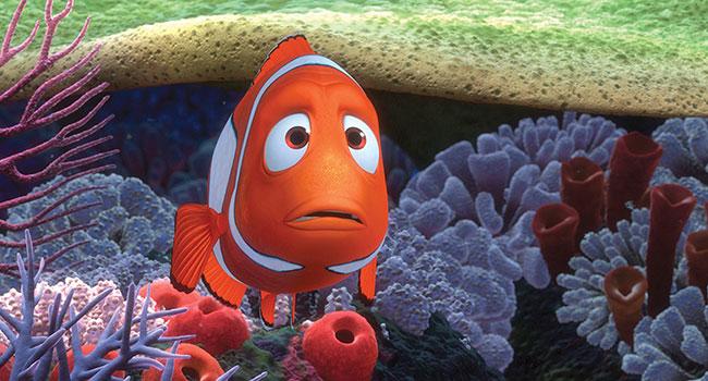 What Is the Real Story Behind 'Finding Nemo'? Fans Have Dark Theories