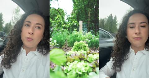 “I Want a Garden Feud” - Woman Reveals Community Plot Drama