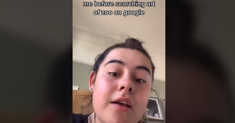 Art of the Zoo TikTok