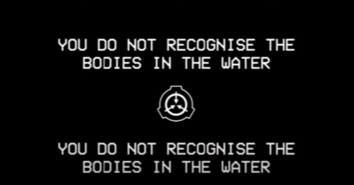 What Does 'You Do Not Recognise the Bodies in the Water' Mean? Creepy SCP  TikTok Explained