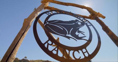 The Blind Fog Ranch by Stephanie Sarcona.