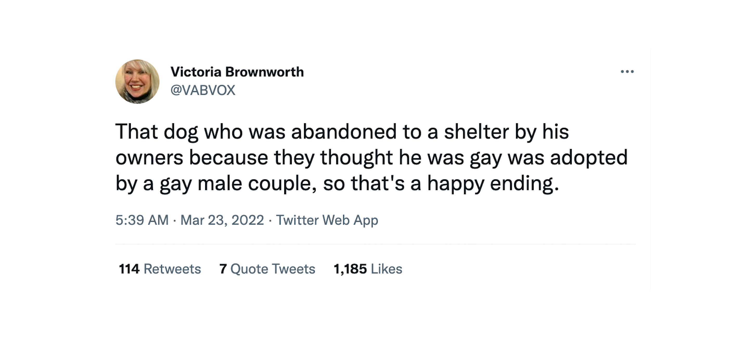 A tweet about the gay dog finding its forever home with an actual gay couple.