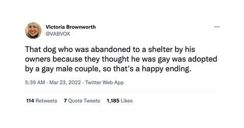 "Gay" Dog From Animal Shelter Gets Adopted by a Gay Couple