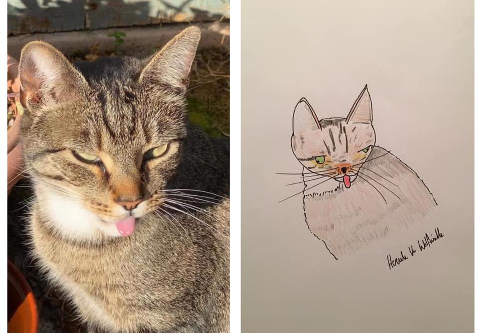 Man With Little Artistic Skill Draws Bad Pet Portraits for Charity