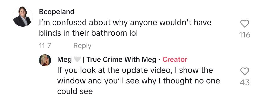 A commenter asks why Meg didn't have blinds in her bathroom and she explains the situation