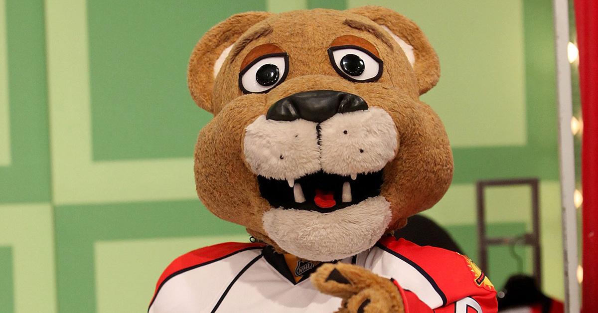 Who are the Florida Panthers' mascots? Get to know all about