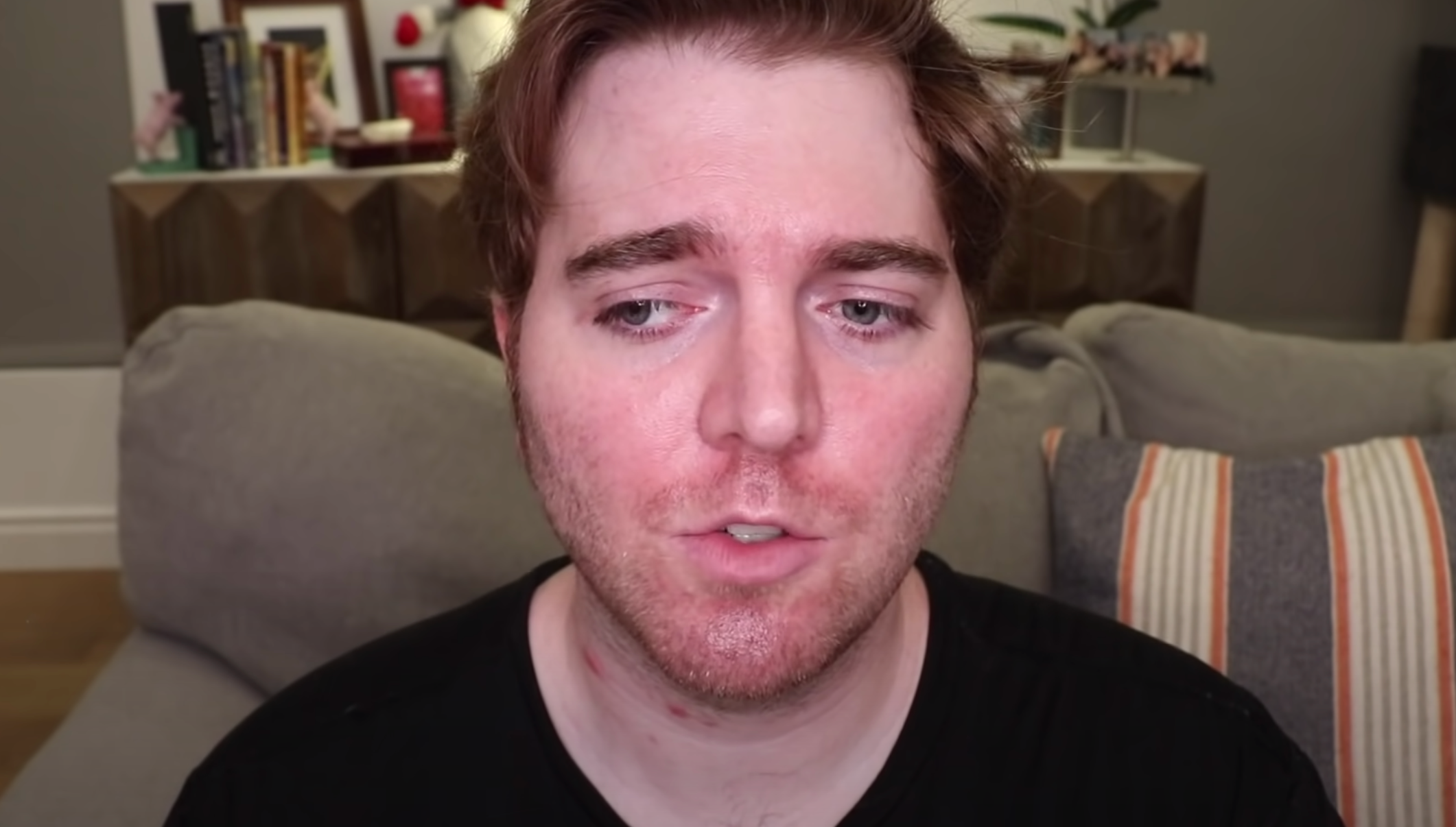 shane apology