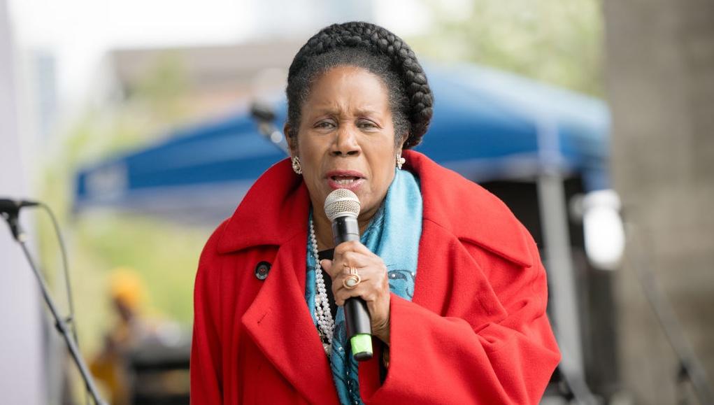 Sheila Jackson Lee 