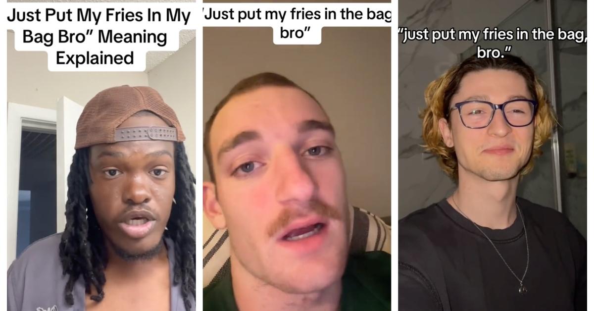 what do "just put my fries in the bag bro" mean - tiktok