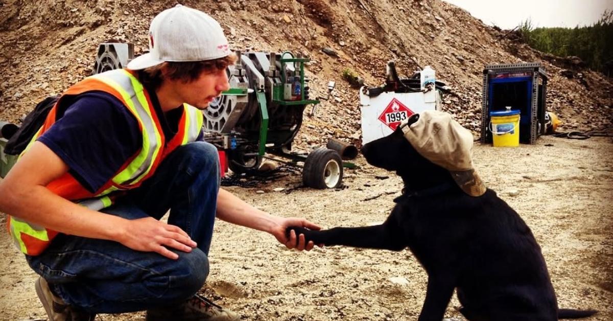 Dozer and Parker on a site on Gold Rush