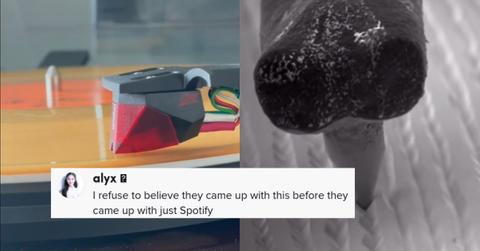 TikToker Vinyl Records Freakout