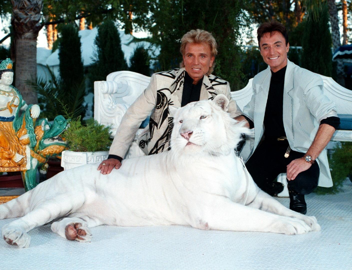 siegfried and roy stuffed tiger