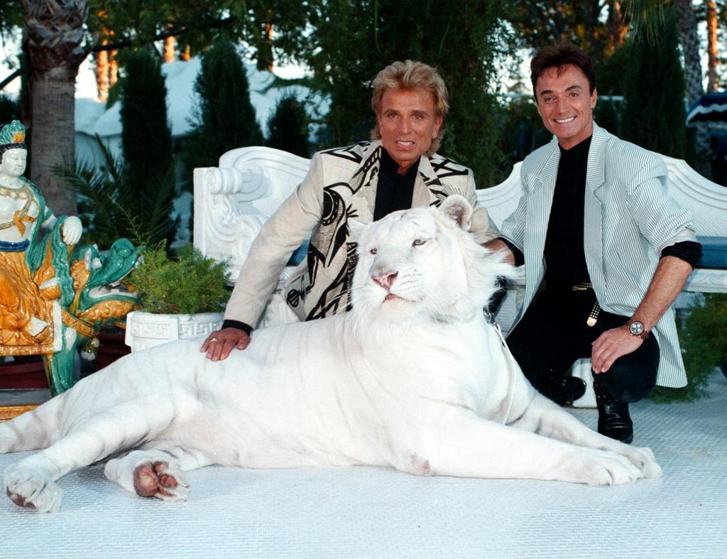 What Happened To Siegfried and Roy? Their Careers Ended Suddenly