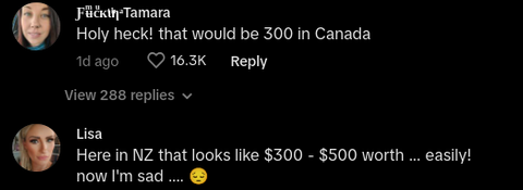 English Woman Shows What $100 of Groceries in UK Looks Like