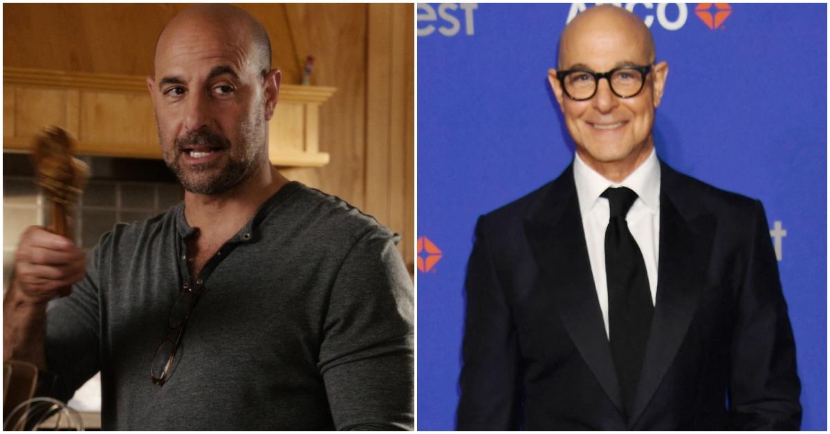 easy a cast now stanley tucci